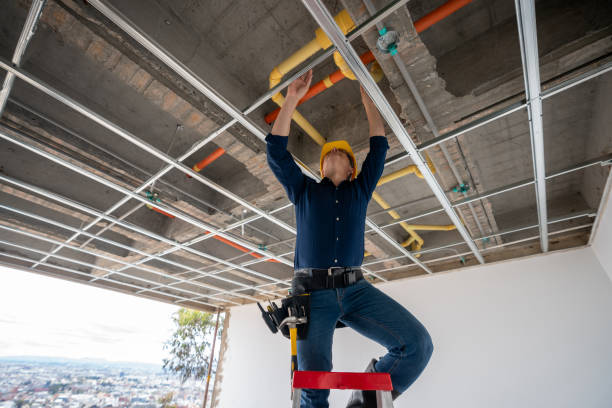 Best Local Plumber Services  in South Sarasota, FL